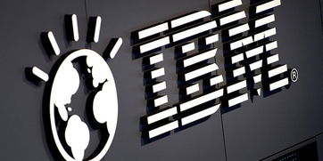 IBM與Box強(qiáng)強(qiáng)聯(lián)手 開啟全球數(shù)據(jù)存儲(chǔ)服務(wù)新篇章